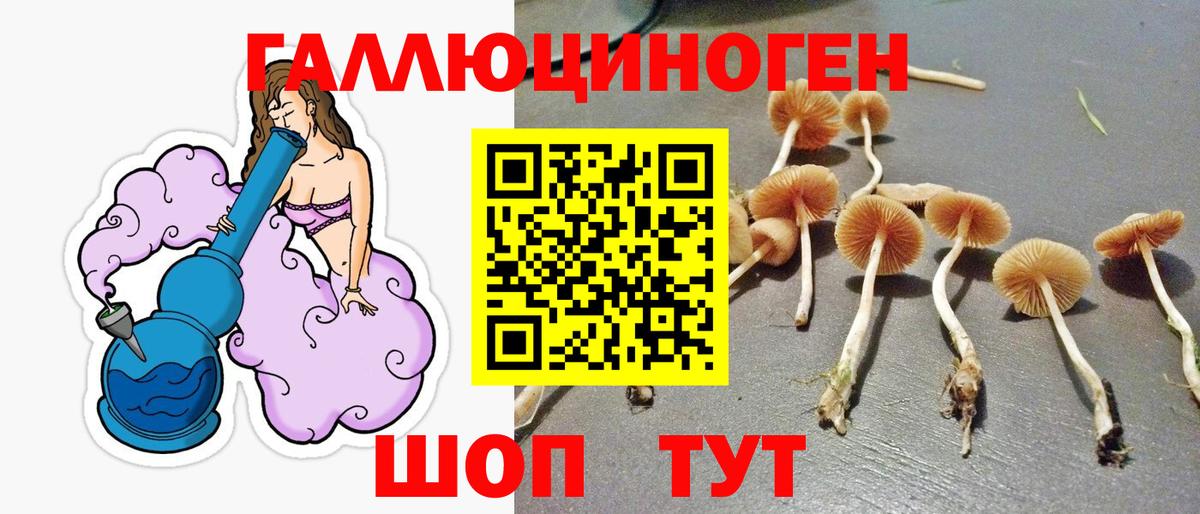 Псилоцибиновые грибы Клинцы
