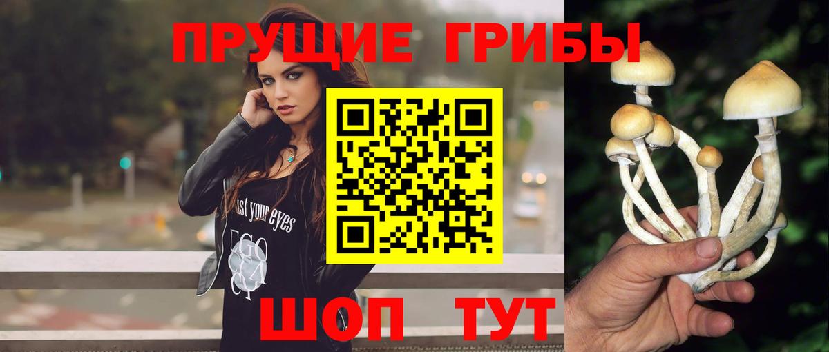 Клинцы  Галлюциногенные грибы Magic Shrooms  Вход с VPN 
